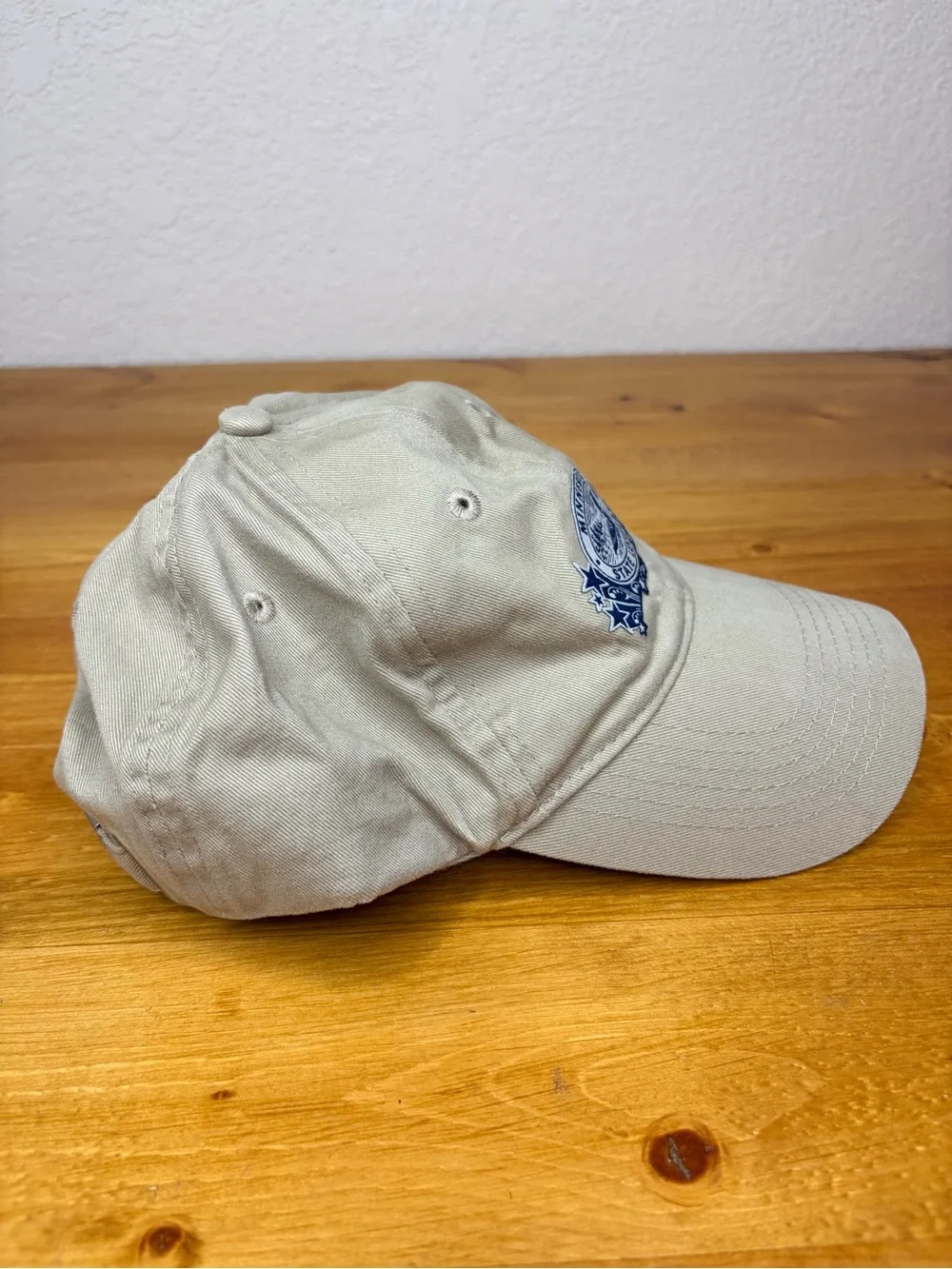 Vintage Minnesota State Lottery Hat American Image Loon Embroidered Wildlife Cap
